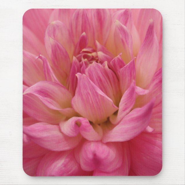 Tapis De Souris non défini (Devant)