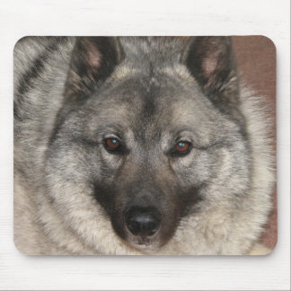Tapis De Souris Norvégien Elkhound