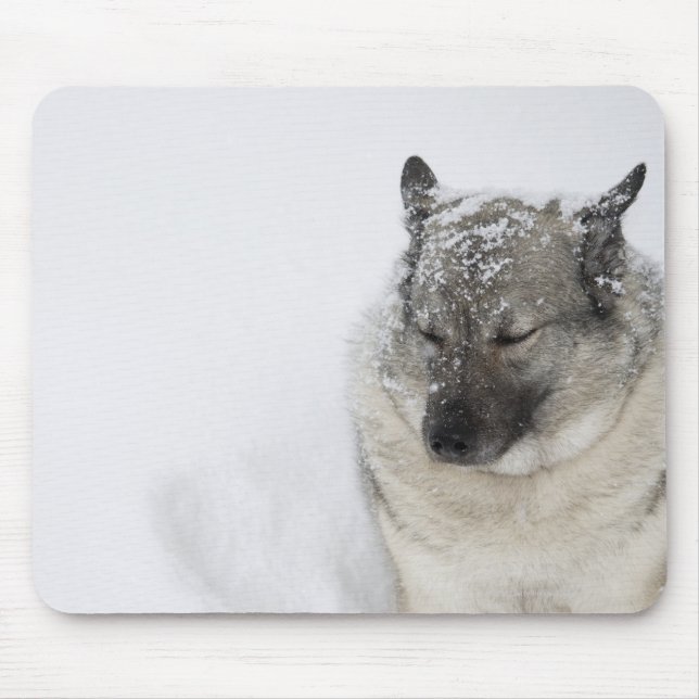 Tapis De Souris Norvégien Elkhound (Devant)