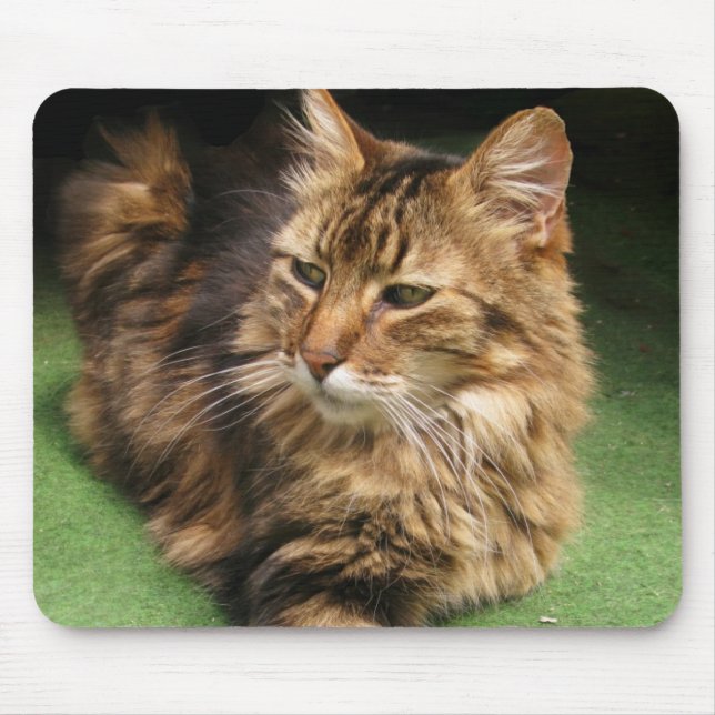 Tapis De Souris Norwegian Forest Cat (Devant)