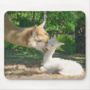 Tapis De Souris Nouveau Cria Mousepad