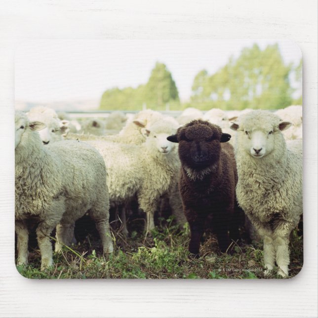 Tapis De Souris Nouvelle-Zélande (Devant)