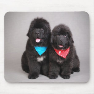 Tapis De Souris Nuwfie