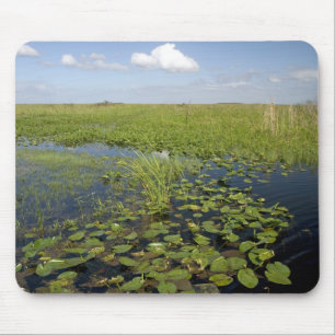 Tapis De Souris Nymphéas et scie dans les Everglades de Floride