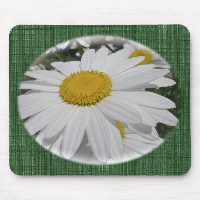Tapis De Souris Objets floraux Fleurs sauvages Oxeye Daisy (Devant)