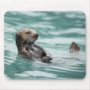 Tapis De Souris Observation de la Loupe de mer