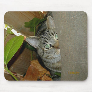 Tapis De Souris Observation de votre souris