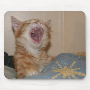 Tapis De Souris Obtenez cette souris