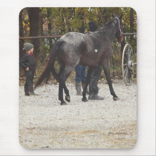 Tapis De Souris Obtenir un nouveau cheval