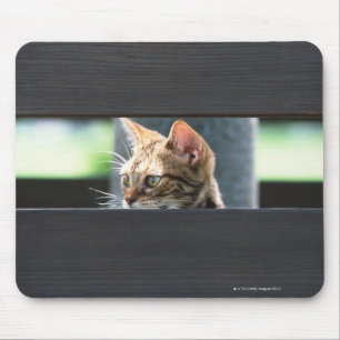 Tapis De Souris Ocicat 4