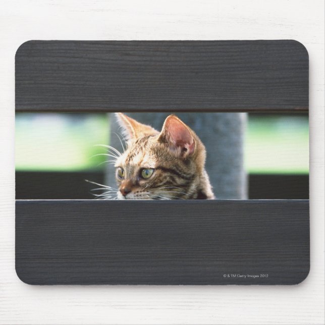 Tapis De Souris Ocicat 4 (Devant)