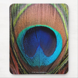 Tapis De Souris Oeil du plan rapproché de plume de paon
