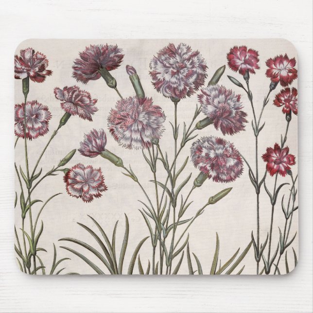 Tapis De Souris Oeillets : majore du flore 1.Caryophyllus ; 2. (Devant)