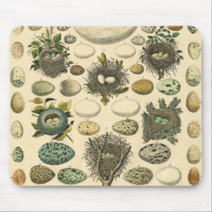 Tapis De Souris OEuf vintage Nid Art Peinture OEufs