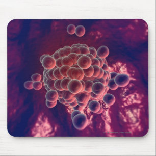 Tapis De Souris Oeufs dans un ovule