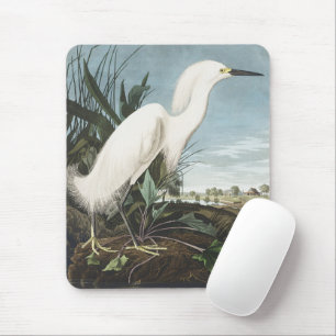 Tapis De Souris Œuvre d'art vintage d'Audubon sur l'aigrette neige