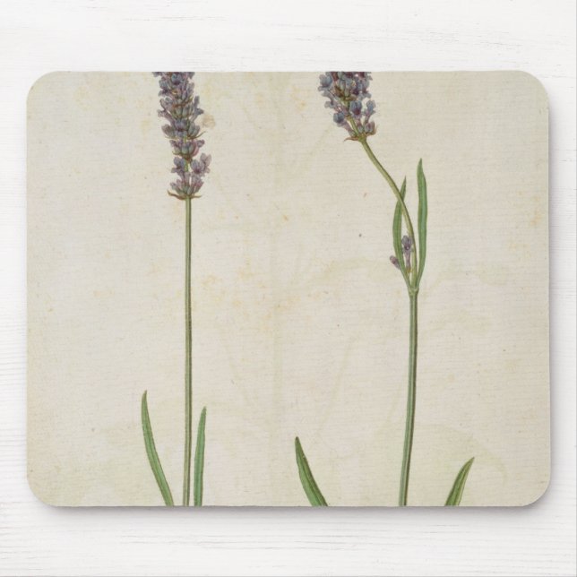 Tapis De Souris Officinalis de Lavandula (vieille lavande (Devant)