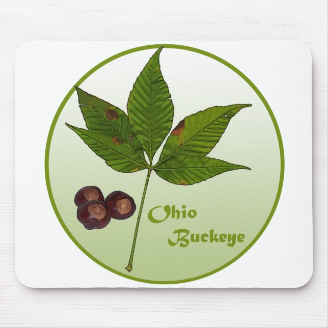 Tapis De Souris Ohio Buckeye Tree (Devant)