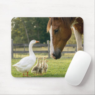 Tapis De Souris Oie blanche avec oisons et cheval