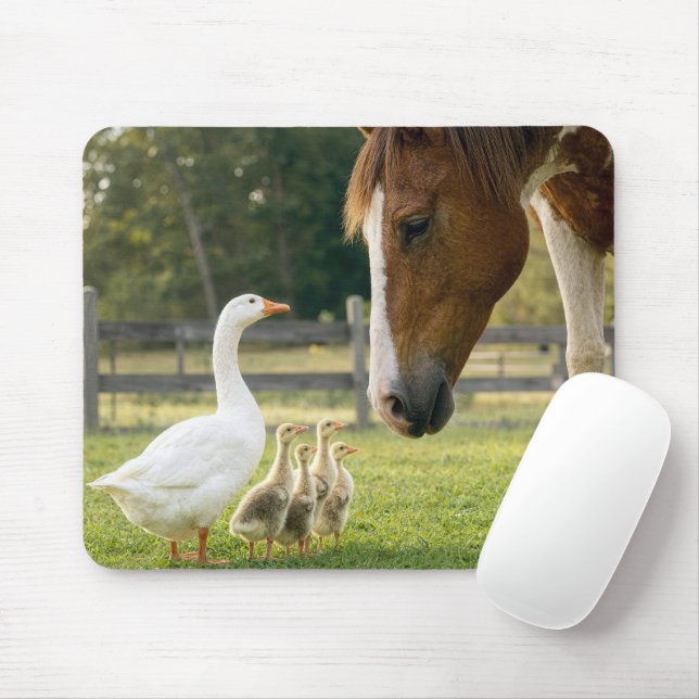 Tapis De Souris Oie blanche avec oisons et cheval (Avec souris)