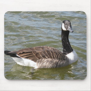 Tapis De Souris Oie canadienne