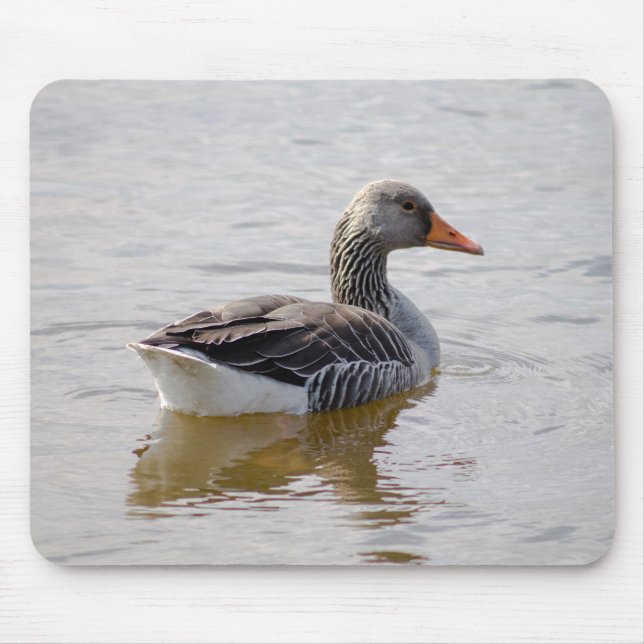 Tapis De Souris Oie de Greylag (Devant)