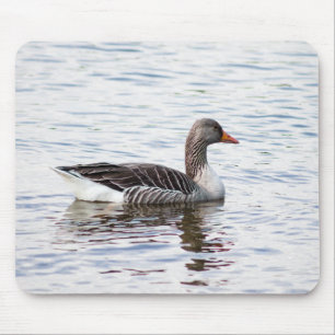 Tapis De Souris Oie de Greylag