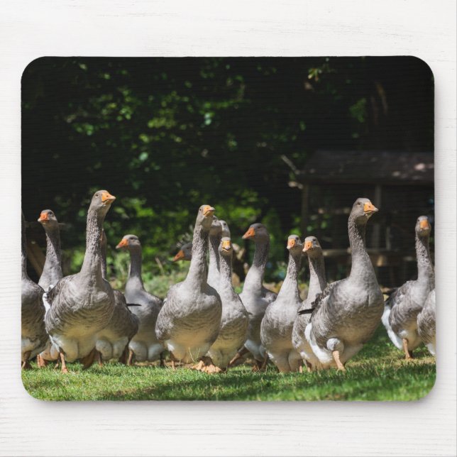 Tapis De Souris Oies dans le mousepad de Dordogne (Devant)