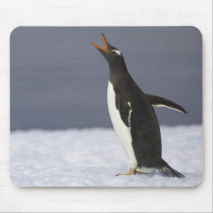 Tapis De Souris Oiseau adulte de pingouin de Gentoo (Pygoscelis