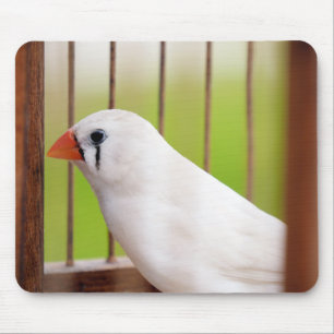 Tapis De Souris Oiseau blanc Zèbre Finch en cage