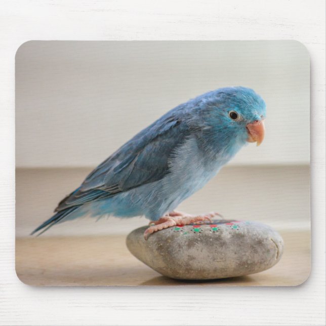 Tapis De Souris Oiseau Bleu (Devant)