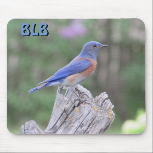 Tapis De Souris Oiseau bleu au printemps vos initiales