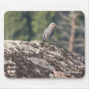 Tapis De Souris Oiseau bleu de montagne sur le granit