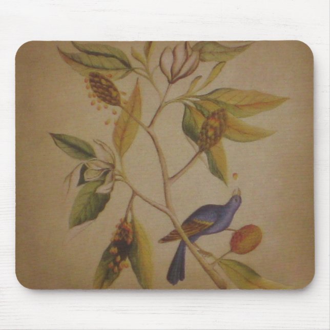 Tapis De Souris Oiseau bleu ~ Mousepad (Devant)
