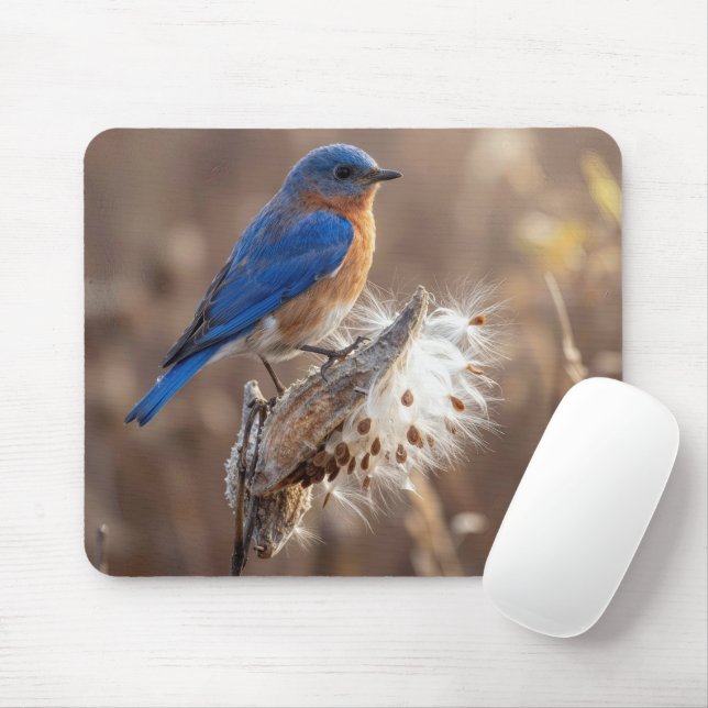 Tapis De Souris Oiseau bleu sur une cosse de asclépiade (Avec souris)