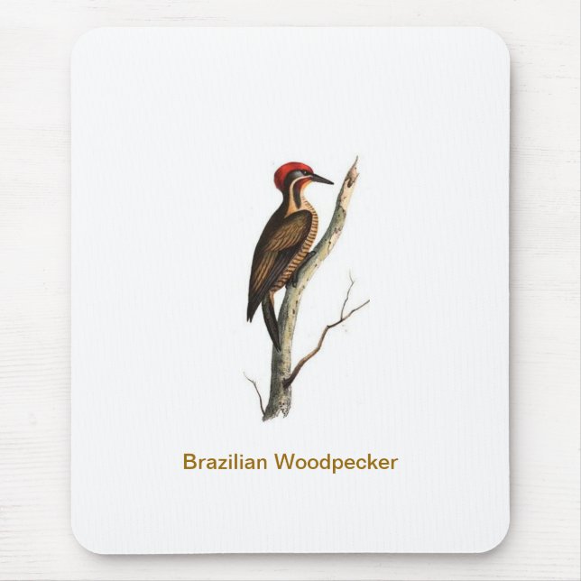 Tapis De Souris Oiseau brésilien Mousepad de pivert (Devant)