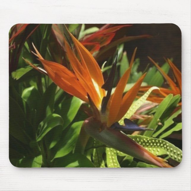 Tapis De Souris Oiseau de paradis (Devant)