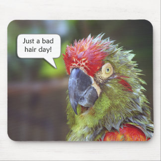 Tapis De Souris Oiseau drôle Mousepad