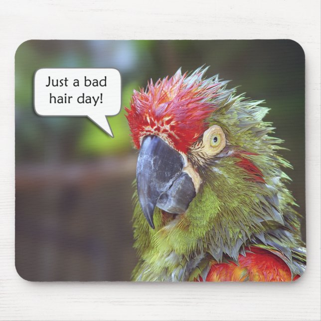 Tapis De Souris Oiseau drôle Mousepad (Devant)