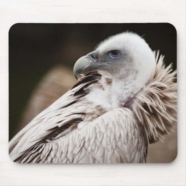 Tapis De Souris Oiseau drôle Mousepad de vautour (Devant)