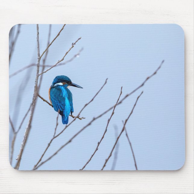 Tapis De Souris Oiseau glacé (Devant)