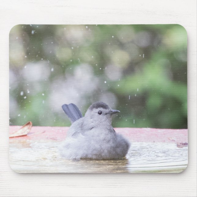 Tapis De Souris Oiseau gris au bain d'oiseaux (Devant)