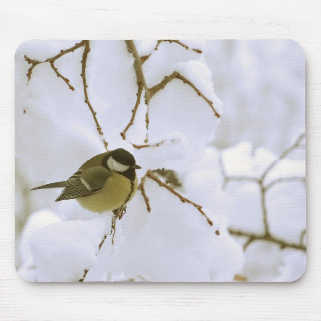 Tapis De Souris Oiseau jaune dans la neige Photo Mousepad (Devant)