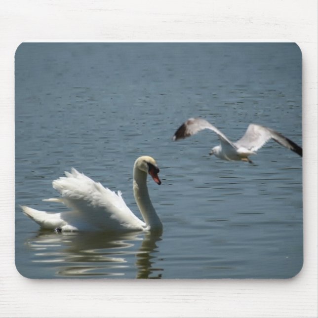 Tapis De Souris Oiseau Jouant Avec Un Cygne (Devant)