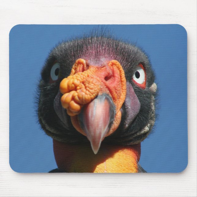 Tapis De Souris Oiseau laid Mousepad du Roi vautour (Devant)