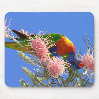Tapis De Souris Oiseau Loriquet Arc-en-Ciel Coloré Mangeant du Nec
