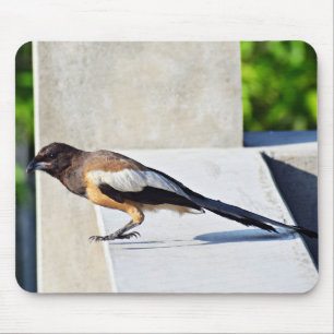 Tapis De Souris Oiseau mignon