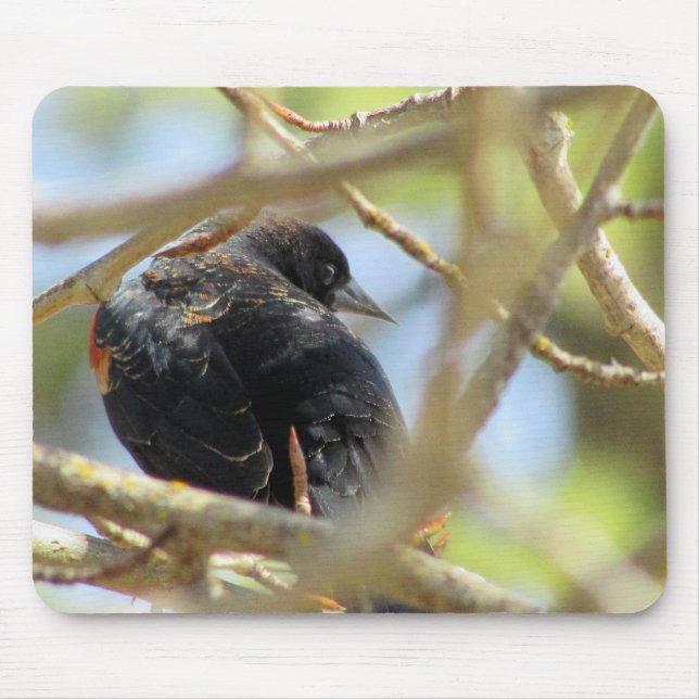 Tapis De Souris Oiseau noir ailé orange (Devant)