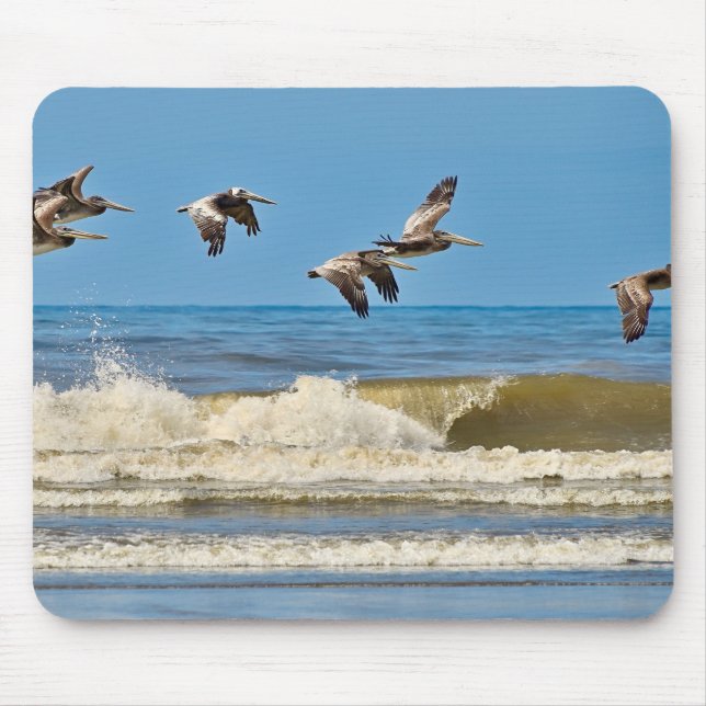 Tapis De Souris Oiseau, pélican brun, faune (Devant)