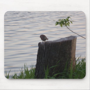 Tapis de souris Oiseau sur une souche